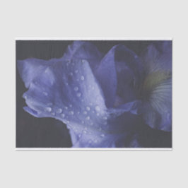 紫のバラ花 薄葉紙