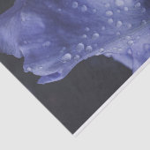 紫のバラ花 薄葉紙 (詳細)