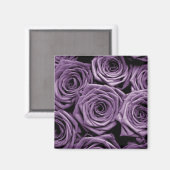 紫のバラ マグネット (正面/裏面)