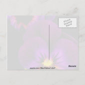 紫のパンジーのデュエット、ワシントン州花 ポストカード (裏面)