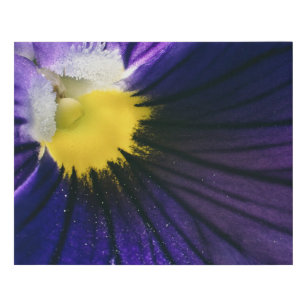 紫のパンジーマクロ写真エレガント フェイクキャンバスプリント
