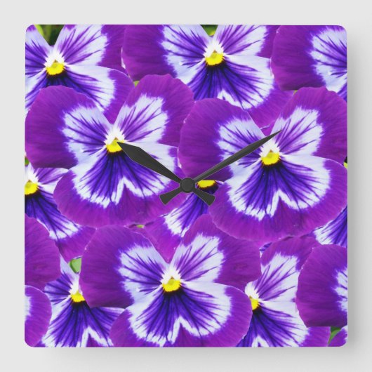 紫のヒナギクと蝶のような花びら スクエア壁時計 (正面)