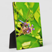 紫のピンクの花に虹色のトンボ フォトプラーク (側面)