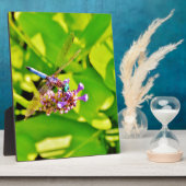 紫のピンクの花に虹色のトンボ フォトプラーク (側面)