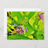 紫のピンクの花に虹色のトンボ ポストカード (正面/裏面)