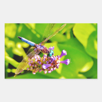 紫のピンクの花に虹色のトンボ 長方形シール