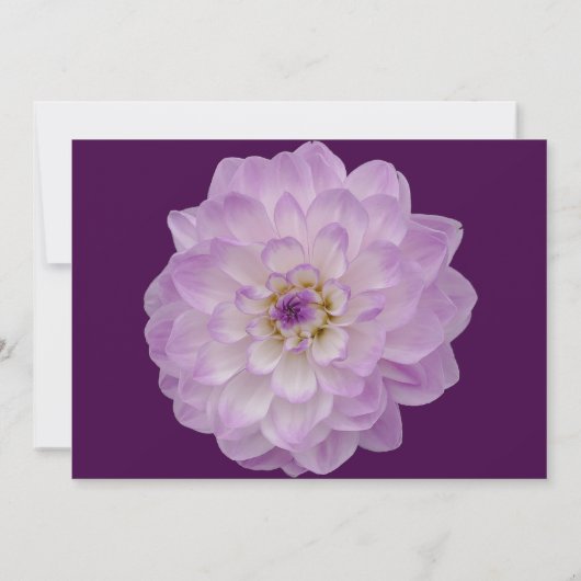 紫のフローラは私の名誉のマトロンになってくれる？ 招待状 (裏面)