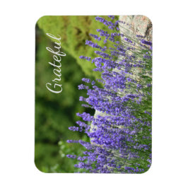 紫のフローラ感謝 マグネット