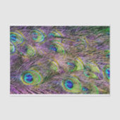 紫のヘイズクジャクの羽 薄葉紙 (正面)