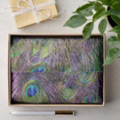 紫のヘイズクジャクの羽 薄葉紙 (ギフト)