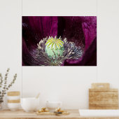 紫のポピーのポスター ポスター (キッチン)