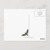 紫のマーリーモスポストカード ポストカード (裏面)