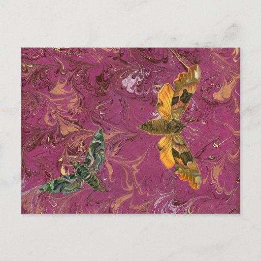 紫のマーリーモスポストカード ポストカード (正面)