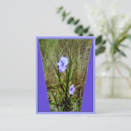 紫のメキシコのペチュニアの花 ポストカード (スタンド正面)
