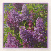 紫のライラックかわいらし、庭の花のシーン ガラスコースター (正面)