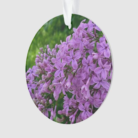 紫のライラックのロマンチックエレガントな紫のフローラ写真 オーナメント (正面)