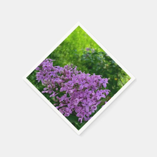 紫のライラックのロマンチックエレガントな紫のフローラ写真 スタンダードカクテルナプキン (角)