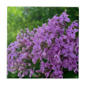 紫のライラックのロマンチックエレガントな紫のフローラ写真 タイル (正面)