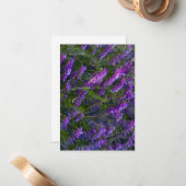 紫のヴェッチの花 ノートカード (正面/裏面インサイチュ)