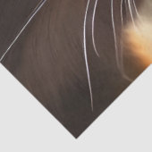 紫の三毛猫のヒント，ファンタジー 薄葉紙 (詳細)