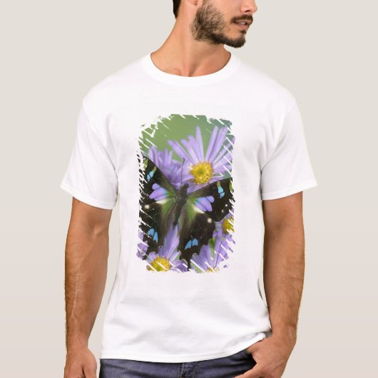 紫の上の蝶 Tシャツ (正面)