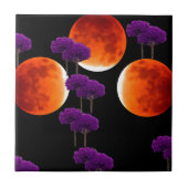 紫の侵入 タイル (正面)