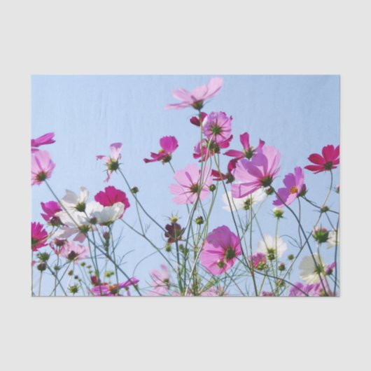 紫の可愛い夏の花の草原 薄葉紙 (正面)