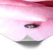 紫の喜び ポスター (角)