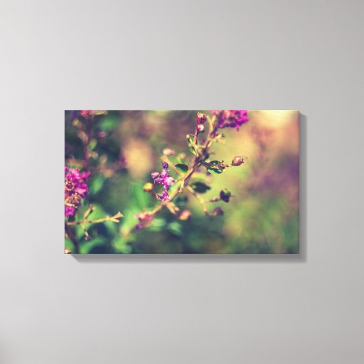 紫の夏の自然 キャンバスプリント (正面)