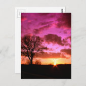 紫の夕日 ポストカード (正面/裏面)