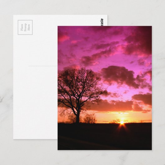 紫の夕日 ポストカード (正面/裏面)