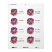 紫の子猫，子猫のポートレート，白 ラベル (フルシート)