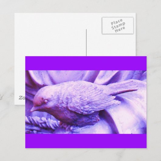 紫の小鳥 ポストカード (正面/裏面)