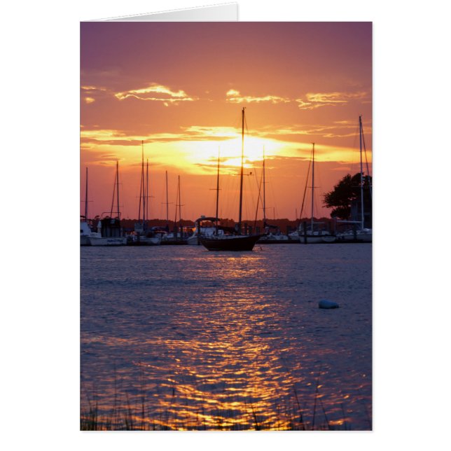 紫の情熱の夕日 (正面)