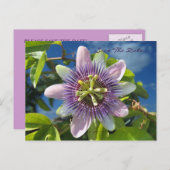 紫の情熱ポストカードを保存 案内ポストカード (正面/裏面)