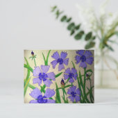 紫の情熱 ポストカード (スタンド正面)