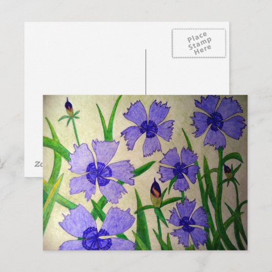 紫の情熱 ポストカード (正面/裏面)