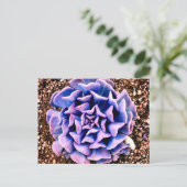 紫の情熱 ポストカード (スタンド正面)