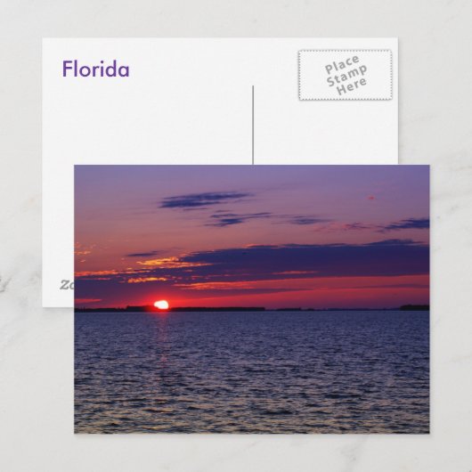 紫の情熱 ポストカード (正面/裏面)