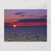 紫の情熱 ポストカード (正面)