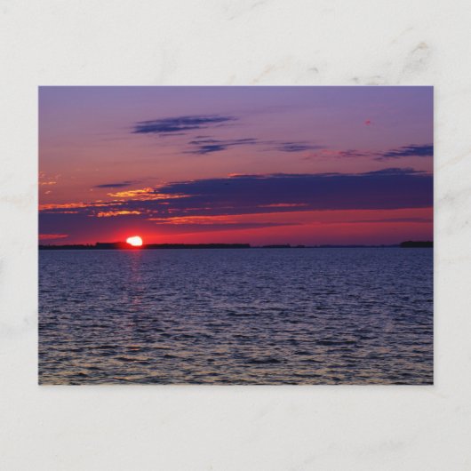 紫の情熱 ポストカード (正面)