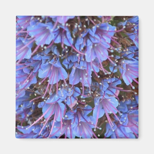 紫の情熱 マグネット (正面)