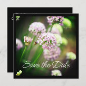 紫の斜めのネギの花で幸せ (正面/裏面)