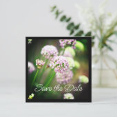 紫の斜めのネギの花で幸せ (スタンド正面)