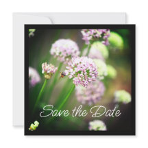 紫の斜めのネギの花で幸せ