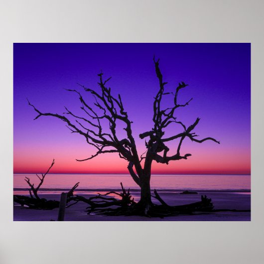 紫の日の出 ポスター (正面)