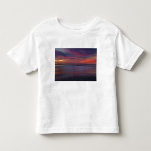 紫の日の出-海海岸 トドラーTシャツ (正面)