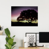 紫の日没とオークの木のシルエット ポスター (ホームオフィス)
