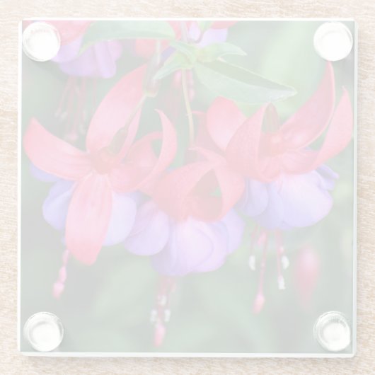 紫の明るい赤紫色とピンクセパールフローラ ガラスコースター (裏面)