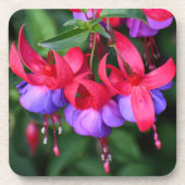 紫の明るい赤紫色とピンクセパールフローラ コースター (正面)